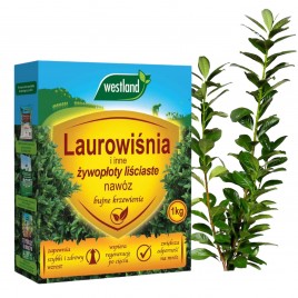 Nawóz do laurowiśni 1kg...