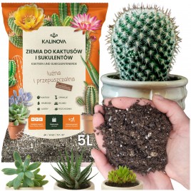 Ziemia do kaktusów 5L Kalinova
