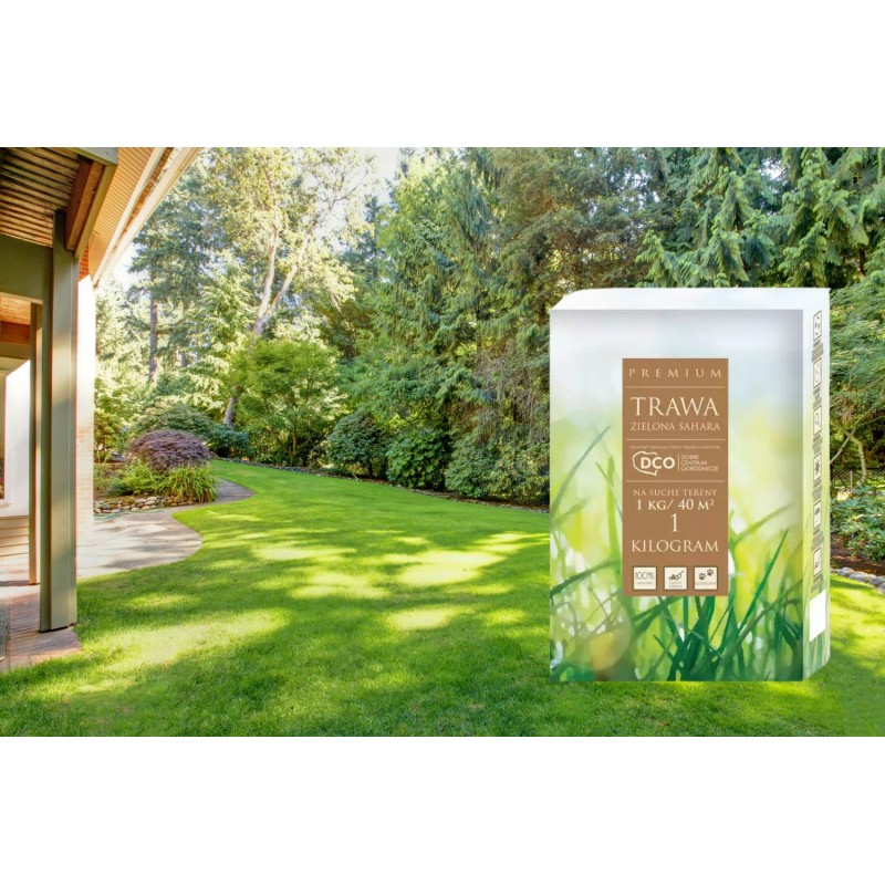 Nasiona traw Zielona Sahara 1kg DCO