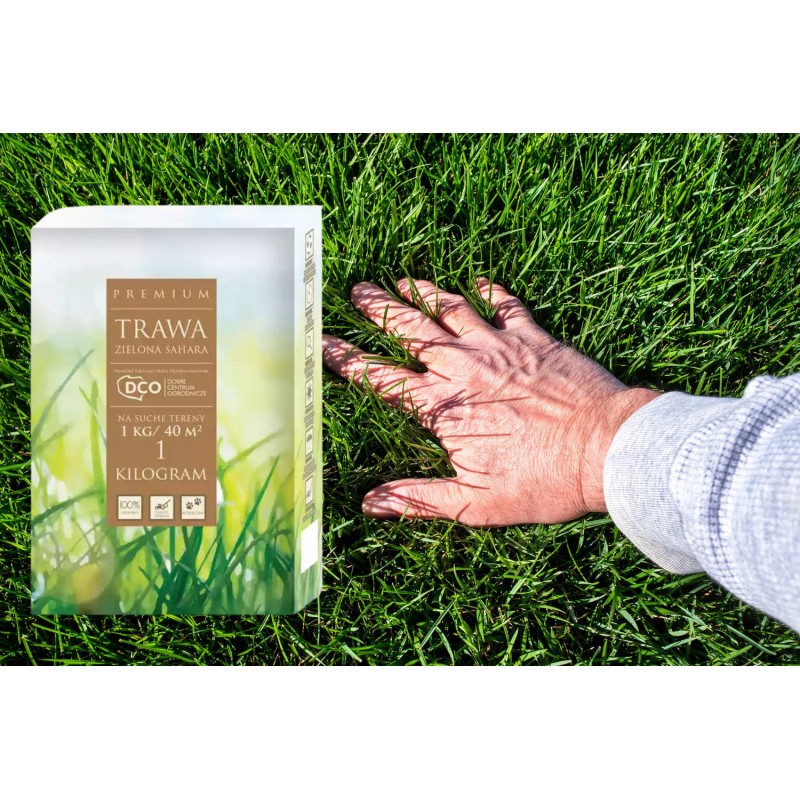 Nasiona traw Zielona Sahara 1kg DCO
