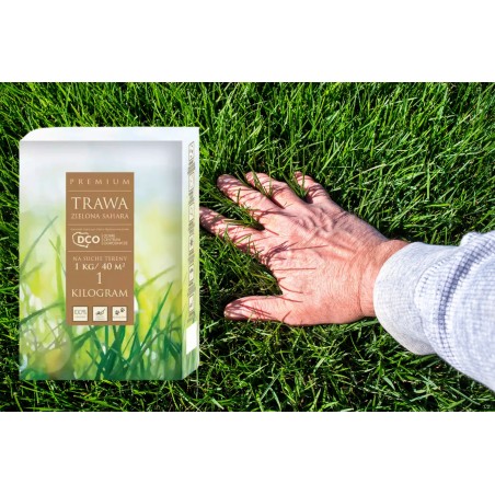 Nasiona traw Zielona Sahara 1kg DCO