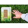 Nasiona traw Zielona Sahara 1kg DCO