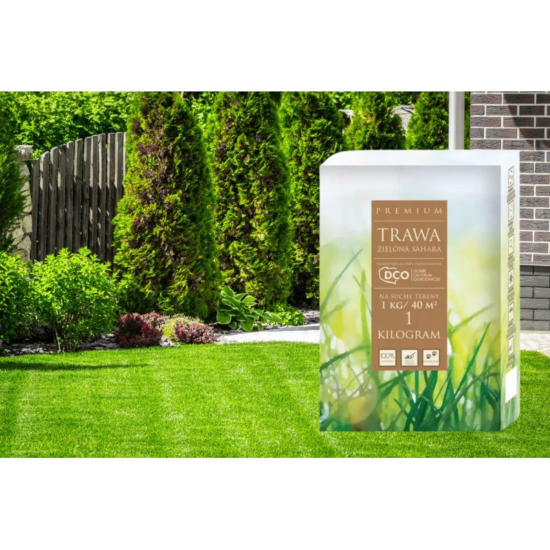 Nasiona traw Zielona Sahara 1kg DCO