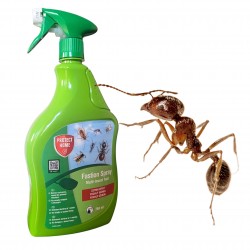 Fastion spray 750ml SBM