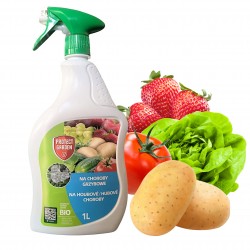 Na choroby grzybowe...