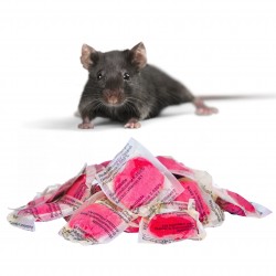 Pasta na myszy i szczury...