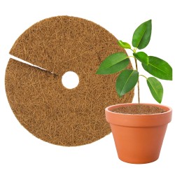 Krążek kokosowy 25cm TinTours