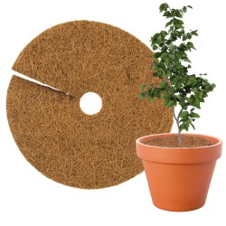 Krążek kokosowy 45cm TinTours