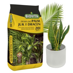 Ziemia do palm, juk i...