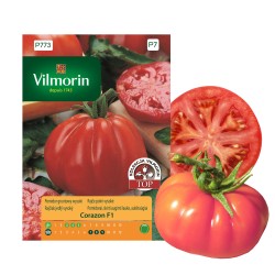 Pomidor gruntowy wysoki...