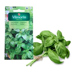 Bazylia właściwa zielona 1g...