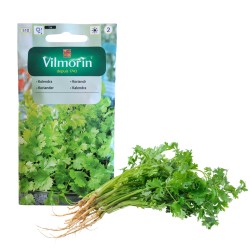 Kolendra 3g GR2 Vilmorin