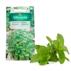 Mięta pieprzowa 0,1g GR2...