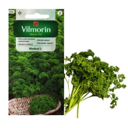 Pietruszka naciowa Moskrul...