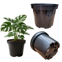 Doniczka produkcyjna 17cm...