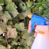 Opryskiwacz ręczny "basic" 0,5l