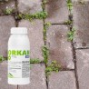 Orkan 350SL 500ml Synthos