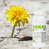 Orkan 350SL 500ml Synthos