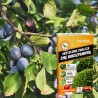 Lepinox Plus 5g Agropak