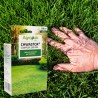 Chwastox Complex 260EW 100ml Agropak