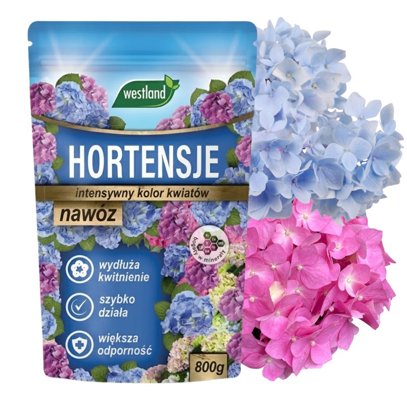 Nawóz do hortensji 800g Westland