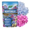Nawóz do hortensji 800g Westland