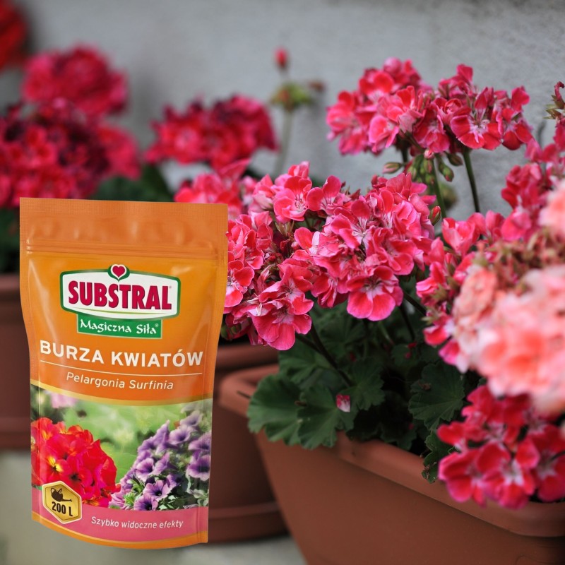 Nawóz burza kwiatów Magiczna Siła 200g Substral