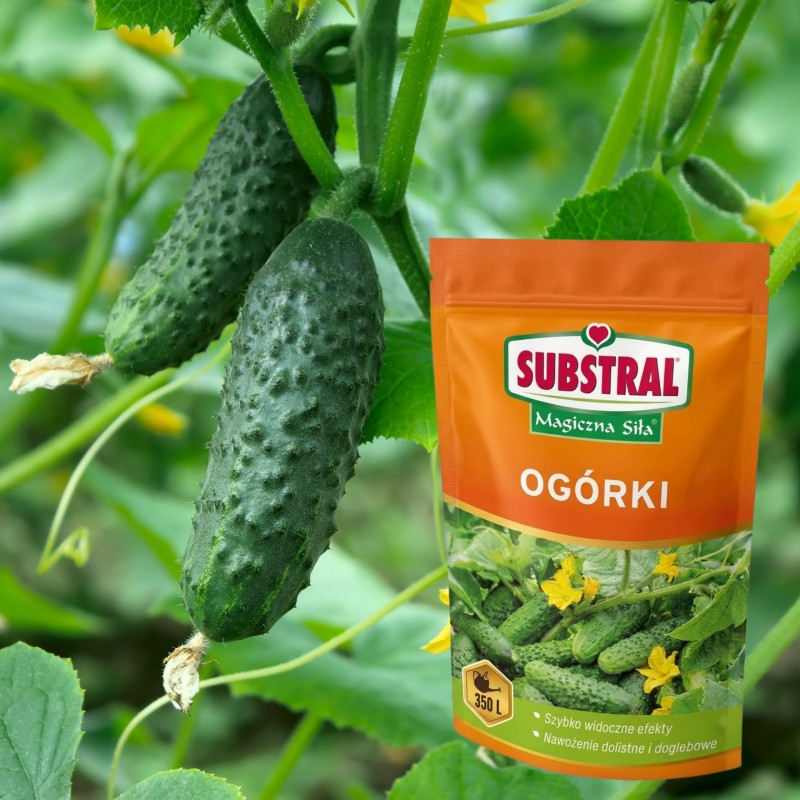 Nawóz do ogórków Magiczna Siła 350g SUBSTRAL