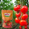 Nawóz do pomidorów Magiczna Siła 350g Substral