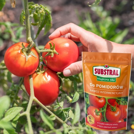 Nawóz do pomidorów Magiczna Siła 350g Substral