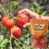 Nawóz do pomidorów Magiczna Siła 350g Substral