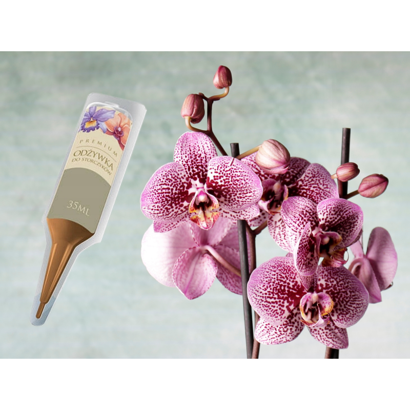 Nawóz do storczyków aplikator 35ml DCO