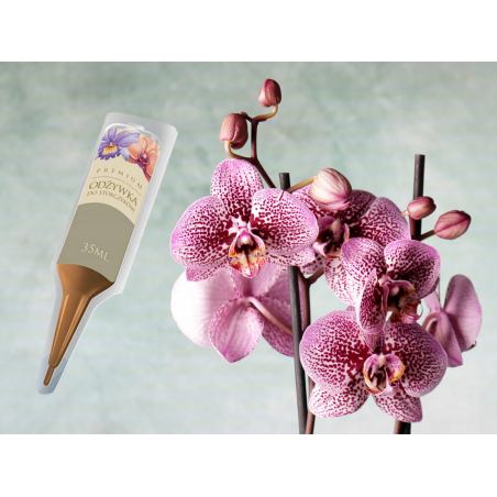 Nawóz do storczyków aplikator 35ml DCO