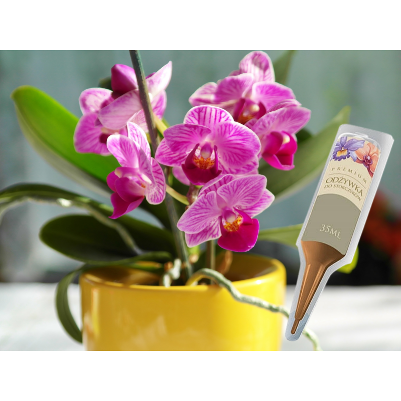 Nawóz do storczyków aplikator 35ml DCO