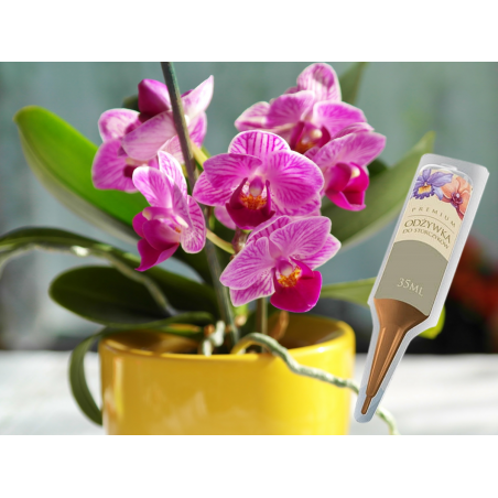 Nawóz do storczyków aplikator 35ml DCO