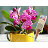 Nawóz do storczyków aplikator 35ml DCO