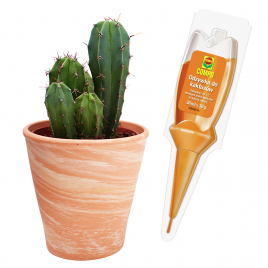 Nawóz do kaktusów aplikator...
