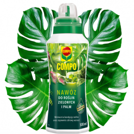 Compo nawóz do roślin zielonych i palm 500ml, płynny