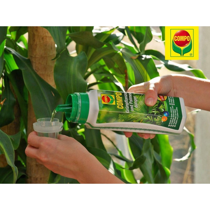 Compo nawóz do roślin zielonych i palm 500ml, płynny