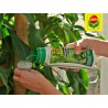 Compo nawóz do roślin zielonych i palm 500ml, płynny