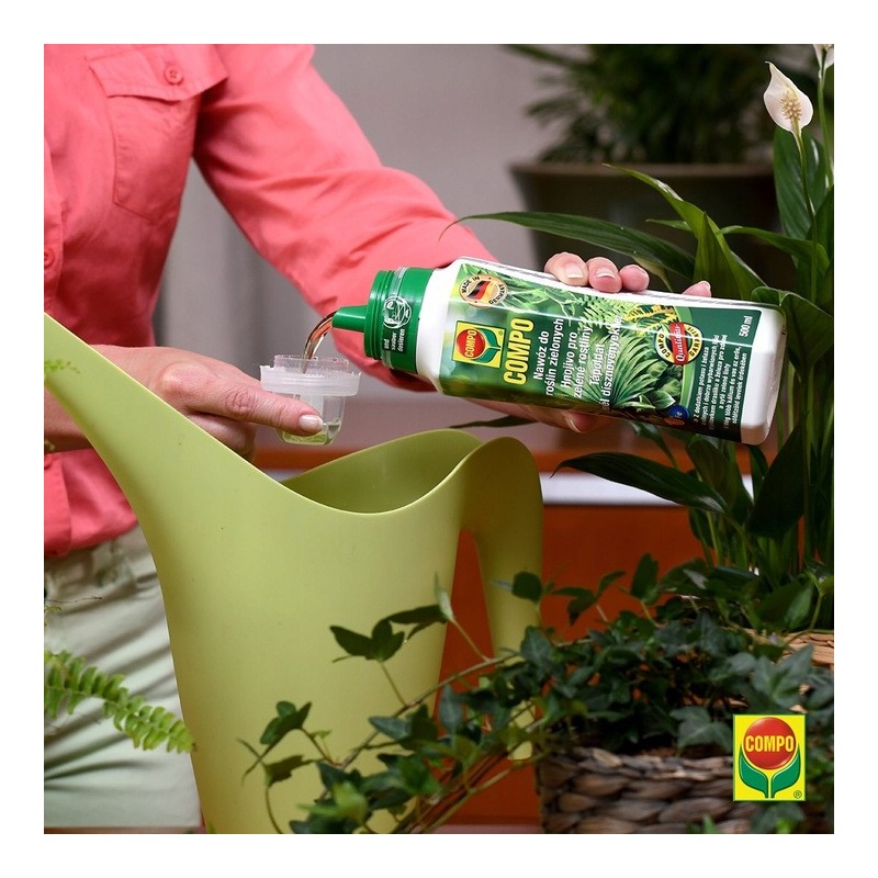 Compo nawóz do roślin zielonych i palm 500ml, płynny