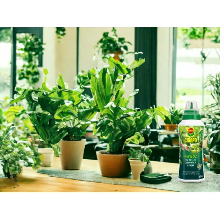 Compo nawóz do roślin zielonych i palm 500ml, płynny