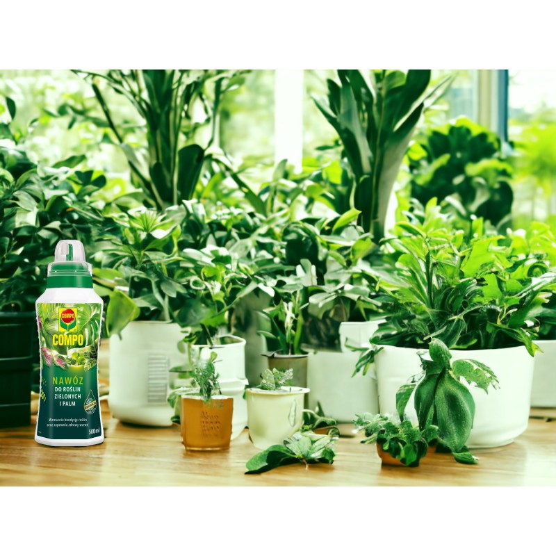 Compo nawóz do roślin zielonych i palm 500ml, płynny