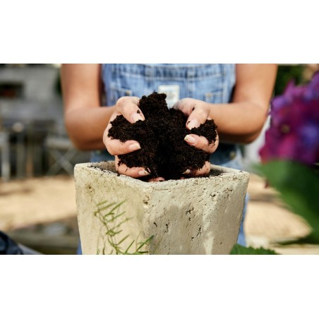 Ziemia do roślin zielonych i palm Compo Sana 20l