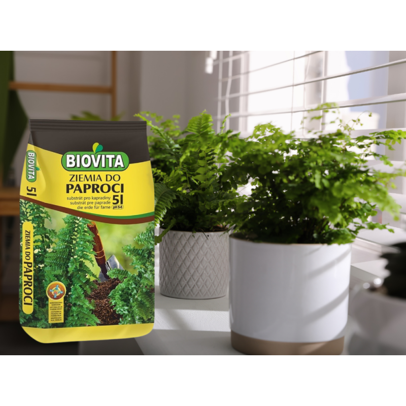 PODŁOŻE ZIEMIA DO PAPROCI z nawozem 5L Biovita