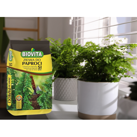 PODŁOŻE ZIEMIA DO PAPROCI z nawozem 5L Biovita