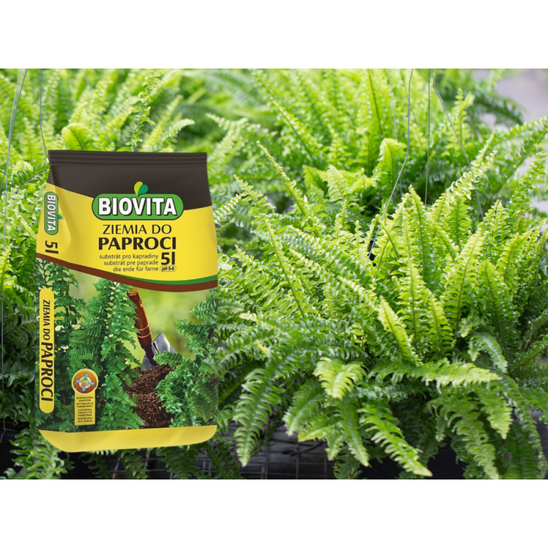 PODŁOŻE ZIEMIA DO PAPROCI z nawozem 5L Biovita