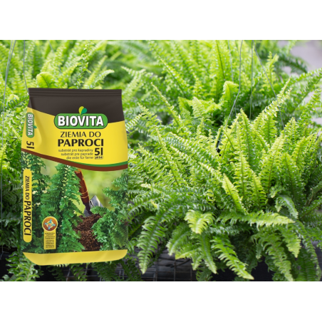 PODŁOŻE ZIEMIA DO PAPROCI z nawozem 5L Biovita