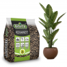 Keramzyt  drobny 4-8mm drenaż 2l Biovita
