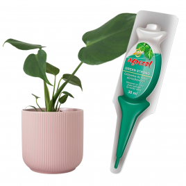 Nawóz do zielonych Green...